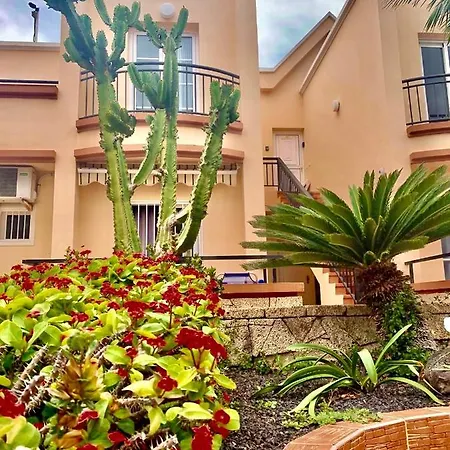 Apartment Amazing 1 Bed Costa Adeje (Tenerife)